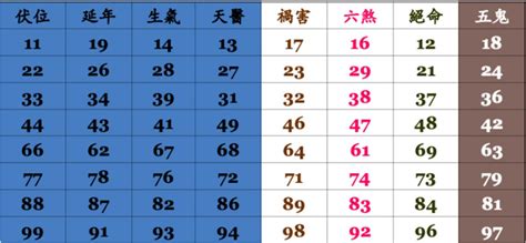 生天延數字|易經數字DNA解析